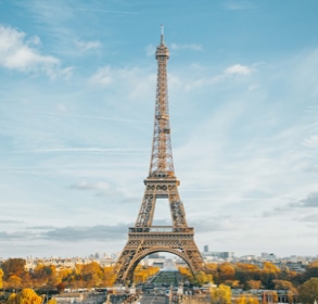 Restaurant in Paris