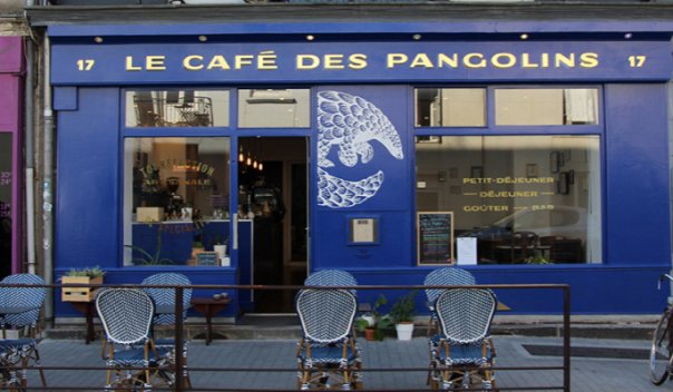 Le Cafe des Pangolins
