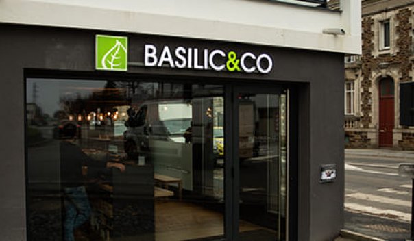 Basilic Co Nantes Clisson