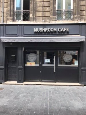 Mushroom Café