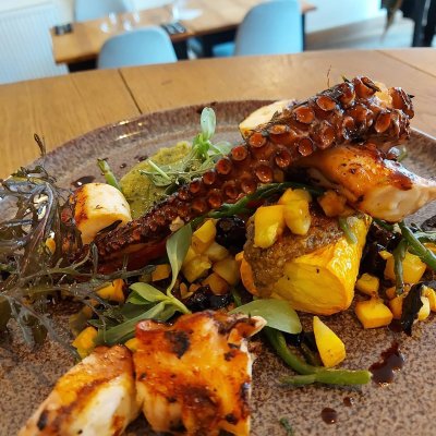 Octopus