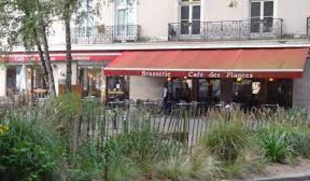 cafe des plantes