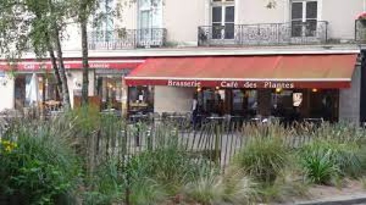 cafe des plantes