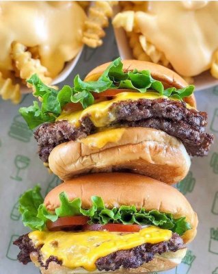 Shake N Out Burger