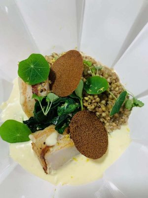 Coquille